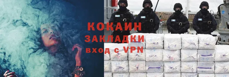 закладки  Беломорск  Cocaine Fish Scale 